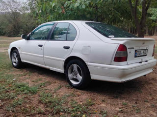 Nissan Primera foto 1