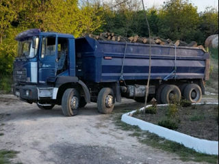 Evacuarea deșeurilor si serviciu transport foto 3