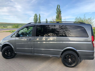 Mercedes Viano foto 7