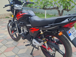 Viper 250 foto 2