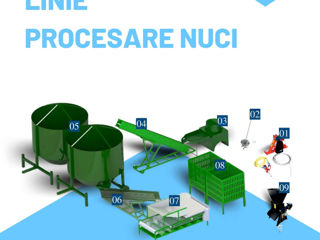 Linie de procesare pentru Nuci