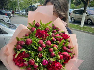 Bujori la doar 15 lei/buc si multe alte flori in asortiment!  В наличии пионы! foto 3