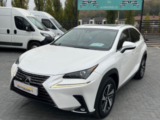 Lexus NX Series