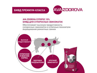 SPMV pentru scroafele gestante AVA ZDOROVA Gestant 10 %. 25kg foto 2