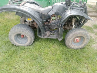 Viper ATV 200 foto 4