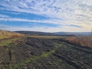 De vinzare Teren- pt construcții 1 linie foto 4