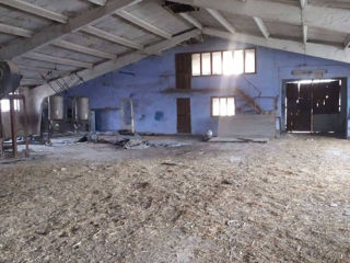 Garaj, Depozit, Spatiu p-t producere in Floresti, langa Avangard foto 5