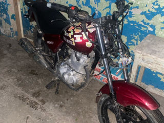 Wolf Motors 150cc foto 2