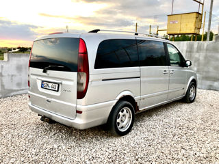 Mercedes Viano foto 9