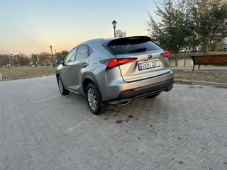 Lexus NX Series foto 3