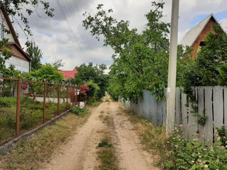 Lot de vilă lângă Nistru. foto 4