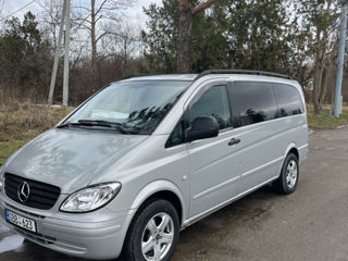 Mercedes Viano foto 7