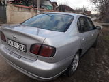 Nissan Primera foto 6