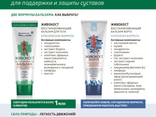 Живокост Форте Spongilla & comfrey Flex Rub Усиленная формула с комплексом хондропротекторов. foto 3