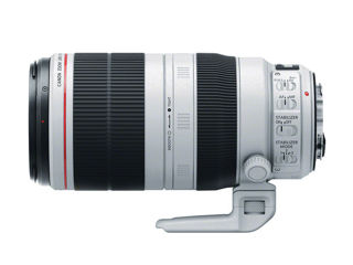 Canon ef 100-400mm f/4.5-5.6l is ii usm lens