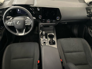 Lexus NX Series foto 5