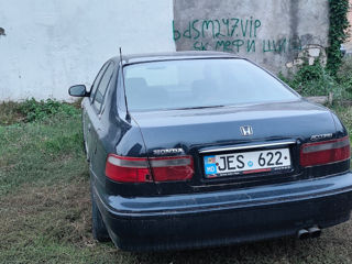 Honda Accord foto 5