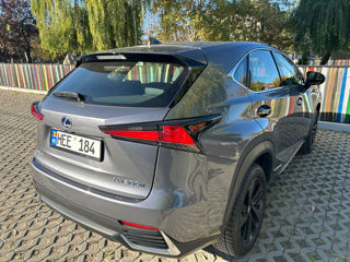 Lexus NX Series foto 6