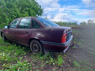 Opel Vectra фото 1