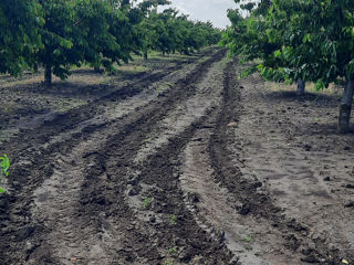 Vind Teren Agricol comasat foto 3