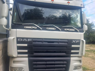 Daf Xf105