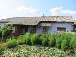 Чадыр-Лунга - продается дом с участком в центре foto 6