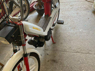 Garelli Moped foto 2