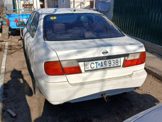 Nissan Primera foto 3