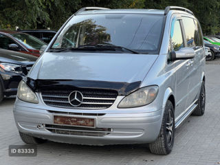 Mercedes Viano, 2009 г.