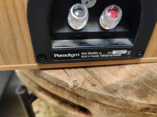 Canton##Paradigm##dynaudio foto 8