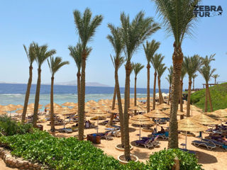 Egipt, Sharm El Sheikh - Nubian Island Hotel 5* foto 5