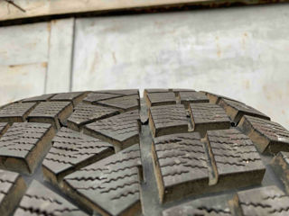 R19/55/275 Maxxis (Iarna) foto 2