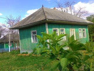 14000 lei vînd casă în stare foarte bună, este fîntînă, nu este crapata nici putred. Trebu de vopsit foto 3