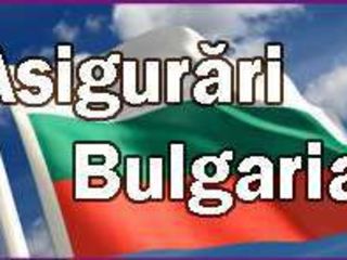 Transport BulgariaТранспорт на Болгарию/Transport, servicii foto 9