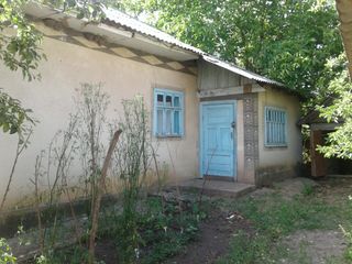 Продам дом в селе Григоровка по трассе Бельцы - Кишинев. foto 4