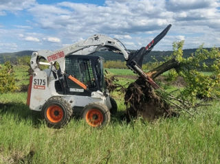 Servicii defrișări, excavator foto 2