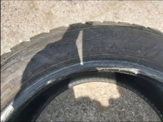 Sava 205/55R16 foto 2