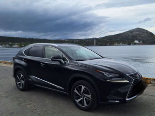 Lexus NX Series foto 3