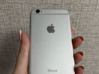 iPhone 6