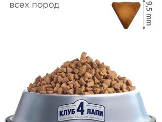 Сухой корм для щенков Club 4 Paws Puppies 14 kg foto 2