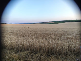 Cota 1.90Ha Bubuieci Urgent foto 2