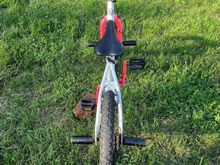 BMX foto 5