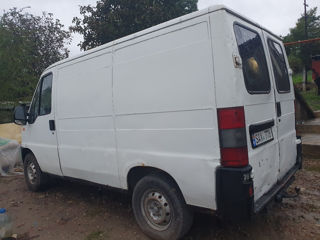 Fiat Doblo foto 2