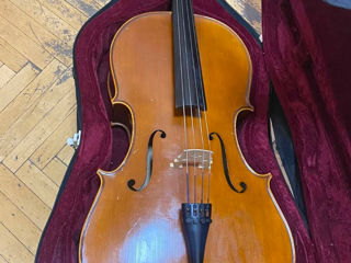 Vand violoncel foto 1