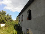 Casa, teren 24 ari, Tuzara, Calarasi foto 3