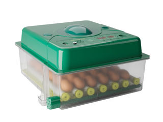 Incubator De Oua Des Champs Eco Profi C-36 - 0b - livrare/achitare in 4rate la 0% / agroteh foto 8