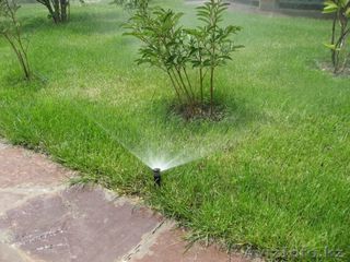 Системы автоматического полива газонов, клумб, огорода! ("rain bird" - качество, которое выбирают!) foto 3