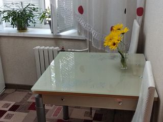 Сдаю квартиру посуточно. Chirie apartament pe termen scurt foto 4