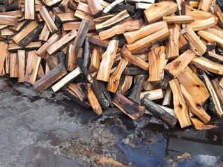 Vindem lemn de foc speci tari stejar carpan frasen (salchin) si lemn moale metre si despicate foto 2