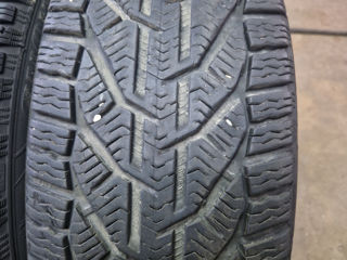 Riken 205/50 R17 зима foto 5